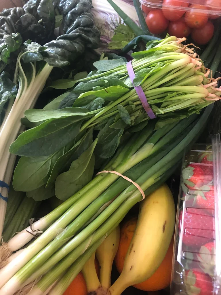 Organic Food - What Is It and Where to Start?